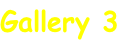Gallery 3
